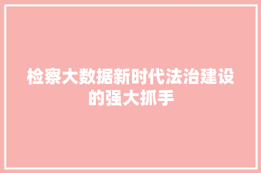 检察大数据新时代法治建设的强大抓手