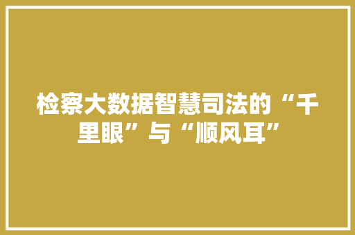 检察大数据智慧司法的“千里眼”与“顺风耳”