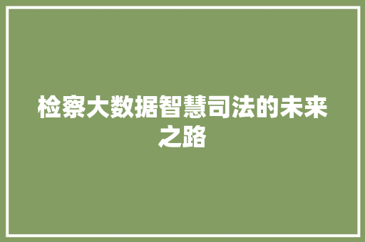 检察大数据智慧司法的未来之路