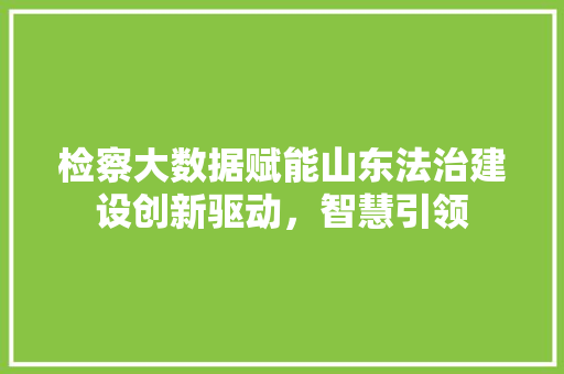 检察大数据赋能山东法治建设创新驱动，智慧引领