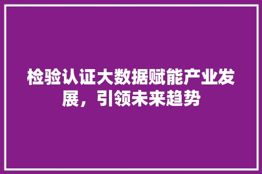 检验认证大数据赋能产业发展,引领未来趋势 检验认证大数据赋能产业发展,引领未来趋势