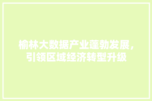 榆林大数据产业蓬勃发展,引领区域经济转型升级 榆林大数据产业蓬勃发展,引领区域经济转型升级
