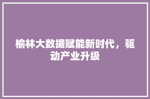 榆林大数据赋能新时代，驱动产业升级