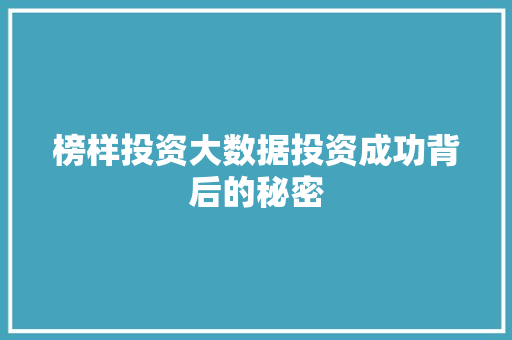 榜样投资大数据投资成功背后的秘密