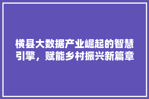 横县大数据产业崛起的智慧引擎，赋能乡村振兴新篇章