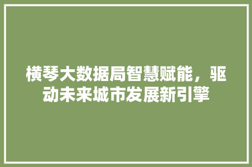 横琴大数据局智慧赋能，驱动未来城市发展新引擎