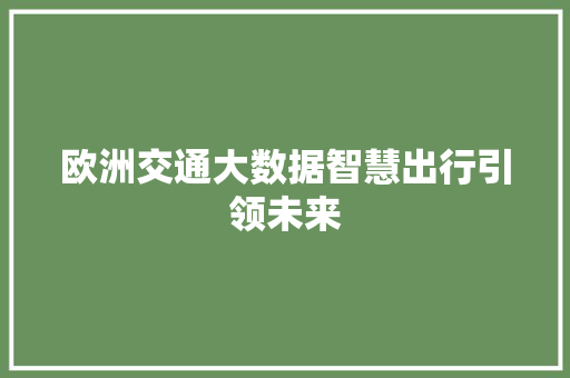 欧洲交通大数据智慧出行引领未来