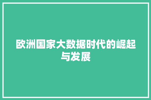 欧洲国家大数据时代的崛起与发展