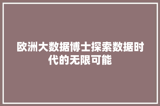 欧洲大数据博士探索数据时代的无限可能