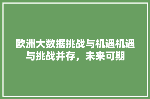 欧洲大数据挑战与机遇机遇与挑战并存，未来可期