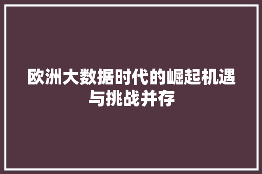 欧洲大数据时代的崛起机遇与挑战并存