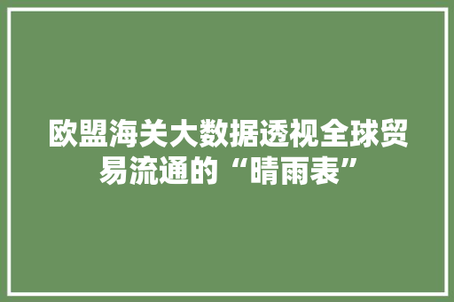 欧盟海关大数据透视全球贸易流通的“晴雨表”