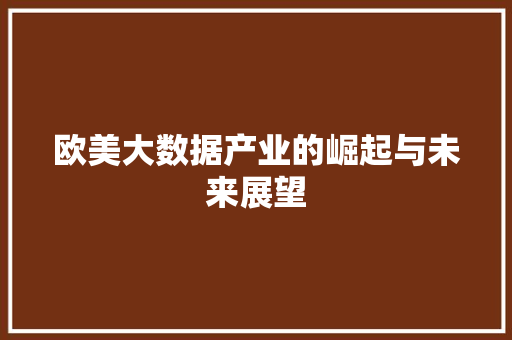欧美大数据产业的崛起与未来展望