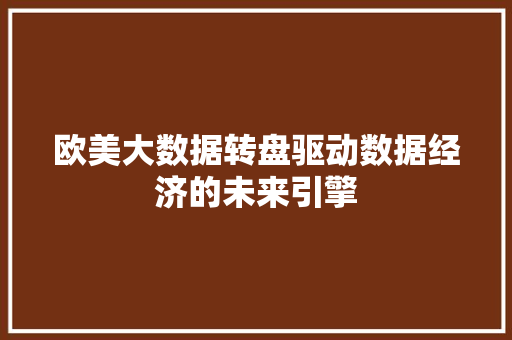 欧美大数据转盘驱动数据经济的未来引擎