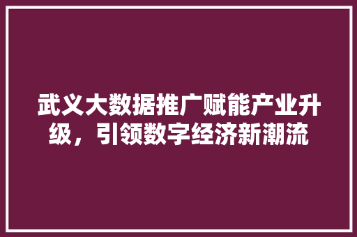 武义大数据推广赋能产业升级，引领数字经济新潮流