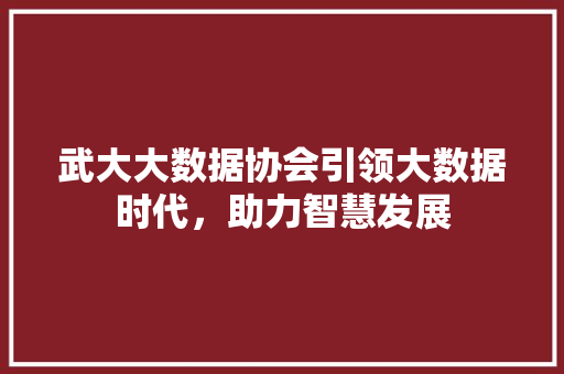 武大大数据协会引领大数据时代，助力智慧发展