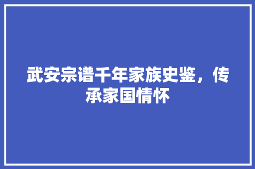 武安宗谱千年家族史鉴，传承家国情怀