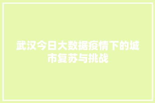 武汉今日大数据疫情下的城市复苏与挑战