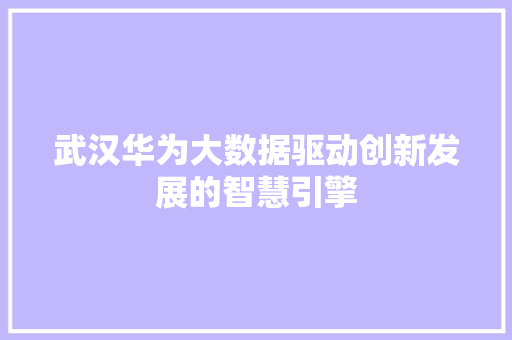 武汉华为大数据驱动创新发展的智慧引擎