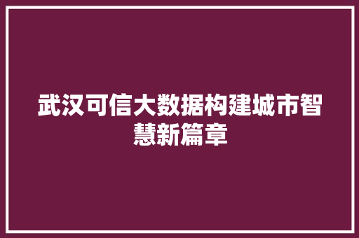 武汉可信大数据构建城市智慧新篇章