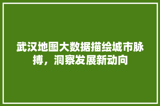 武汉地图大数据描绘城市脉搏，洞察发展新动向