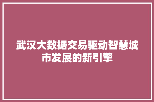 武汉大数据交易驱动智慧城市发展的新引擎
