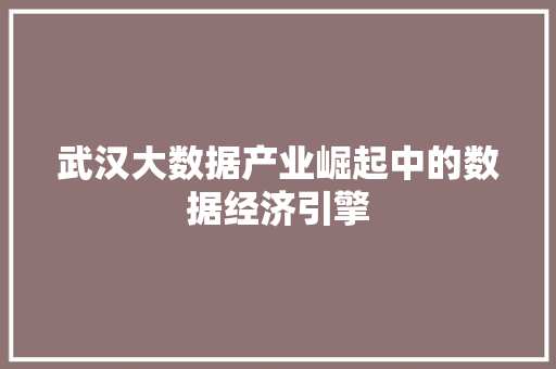 武汉大数据产业崛起中的数据经济引擎