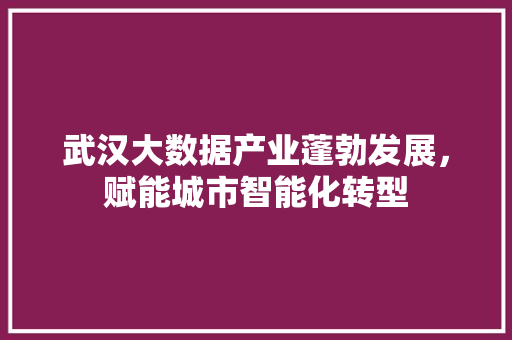 武汉大数据产业蓬勃发展，赋能城市智能化转型