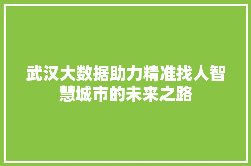 武汉大数据助力精准找人智慧城市的未来之路