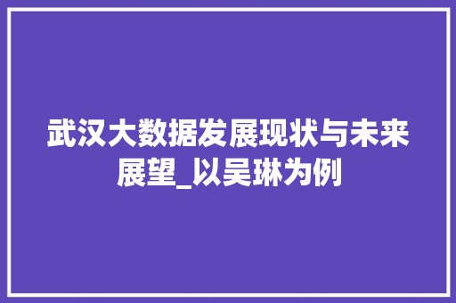 武汉大数据发展现状与未来展望_以吴琳为例