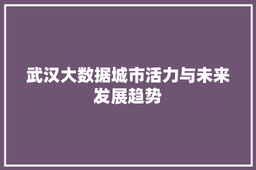 武汉大数据城市活力与未来发展趋势