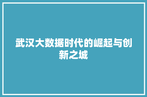 武汉大数据时代的崛起与创新之城