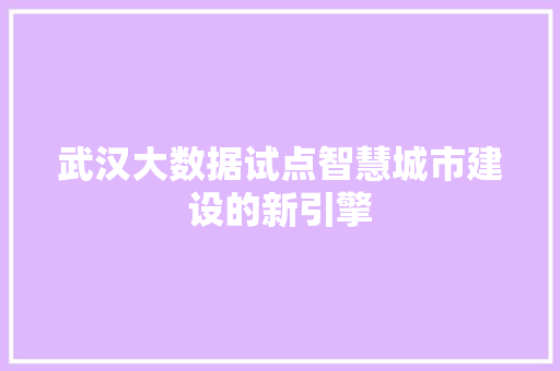 武汉大数据试点智慧城市建设的新引擎