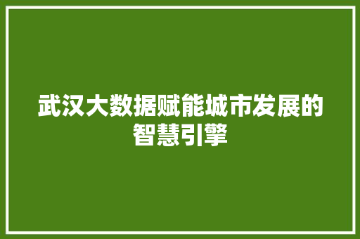 武汉大数据赋能城市发展的智慧引擎