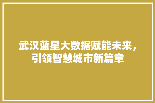 武汉蓝星大数据赋能未来，引领智慧城市新篇章