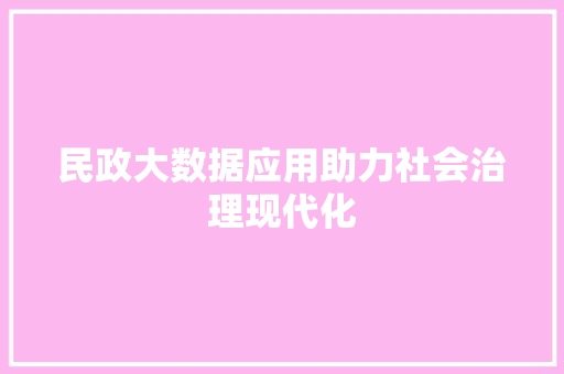 民政大数据应用助力社会治理现代化