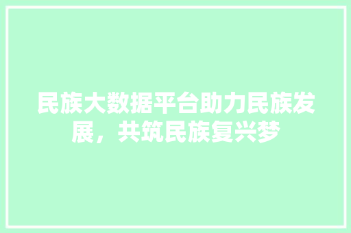 民族大数据平台助力民族发展，共筑民族复兴梦