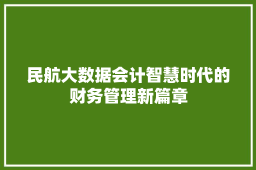 民航大数据会计智慧时代的财务管理新篇章 民航大数据会计智慧时代的财务管理新篇章