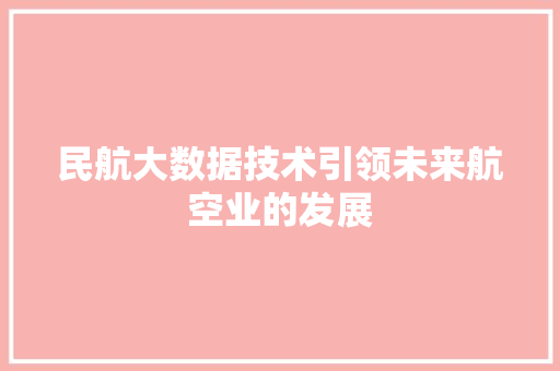 民航大数据技术引领未来航空业的发展 民航大数据技术引领未来航空业的发展