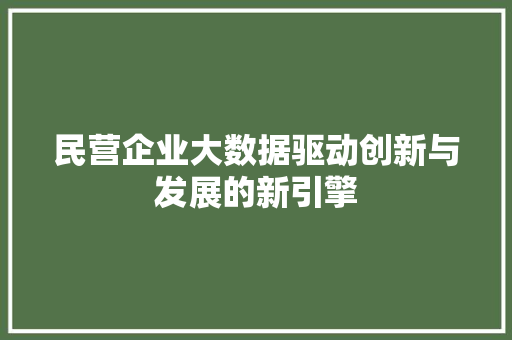 民营企业大数据驱动创新与发展的新引擎