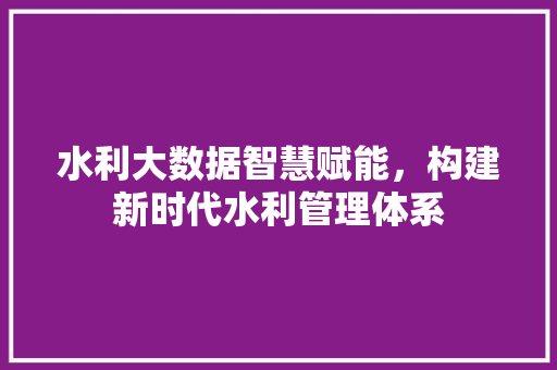 水利大数据智慧赋能，构建新时代水利管理体系