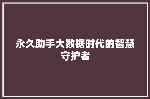 永久助手大数据时代的智慧守护者
