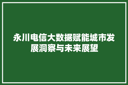 永川电信大数据赋能城市发展洞察与未来展望