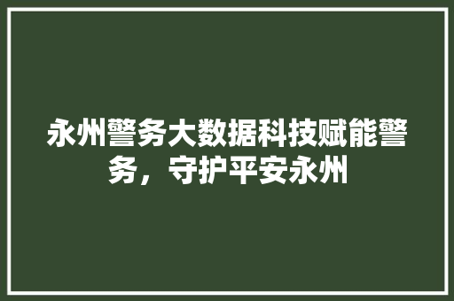 永州警务大数据科技赋能警务，守护平安永州