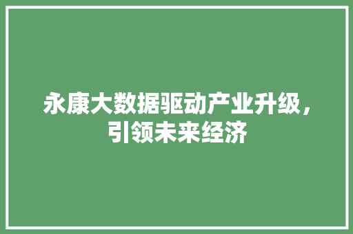 永康大数据驱动产业升级，引领未来经济
