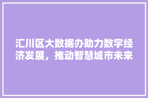 汇川区大数据办助力数字经济发展，推动智慧城市未来