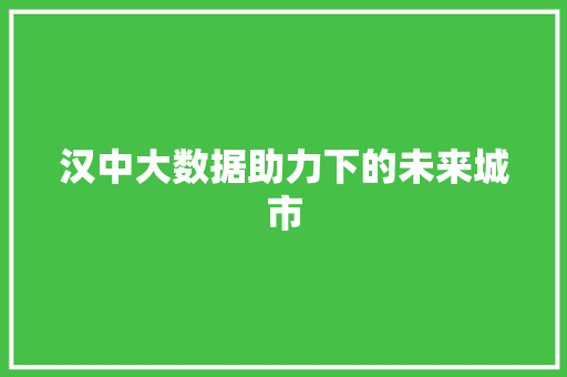 汉中大数据助力下的未来城市