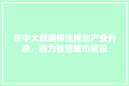 汉中大数据标注推动产业升级，助力智慧城市建设