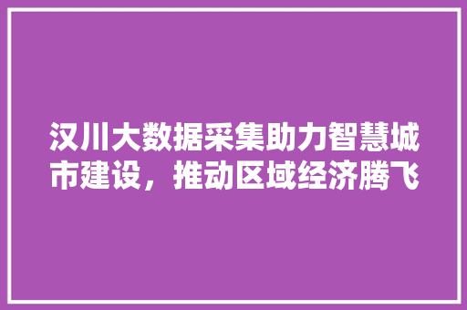 汉川大数据采集助力智慧城市建设，推动区域经济腾飞