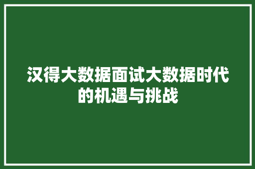 汉得大数据面试大数据时代的机遇与挑战